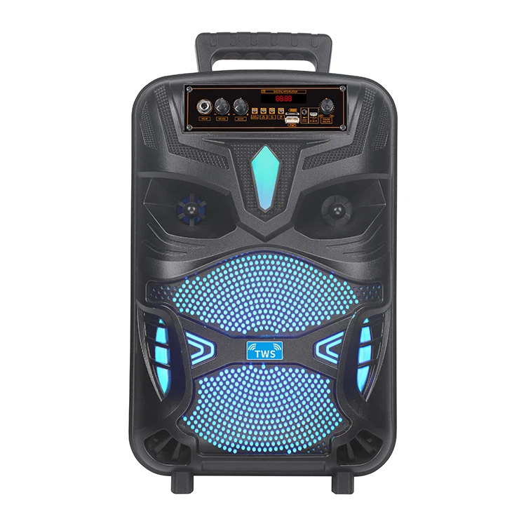 Double 12 Inch Outdoor Wireless Trolley Speaker For Flashing Light Dj