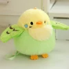 Green Budgerigar