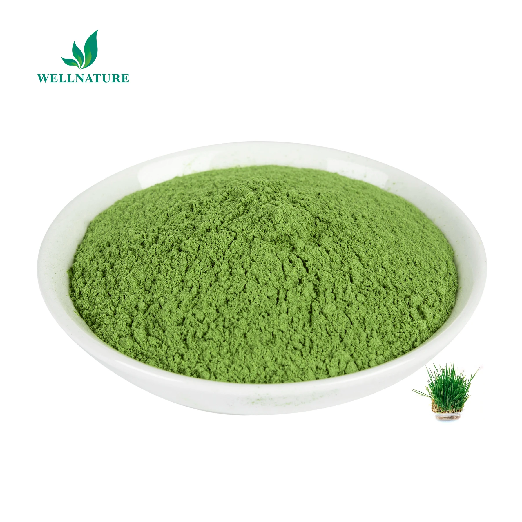 Iso Certified Barley Grass Juice Extract Powder Barley Grass Powder