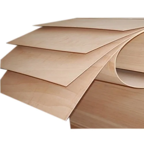 洋書 BENT PLY 1/8 8 x 4 Bending Poplar Plywood (4' high barrel) - Toledo