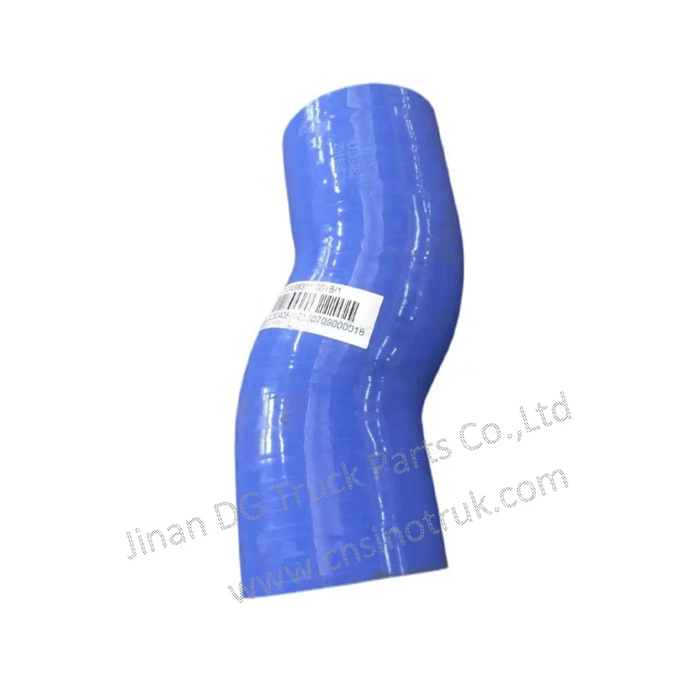 SINOTRUK SITRAK MAN MC11/MC13 Engine Radiator Hose 712W96301-0048 ...