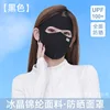 Black - Seamless Full Face Ice Silk Facekini