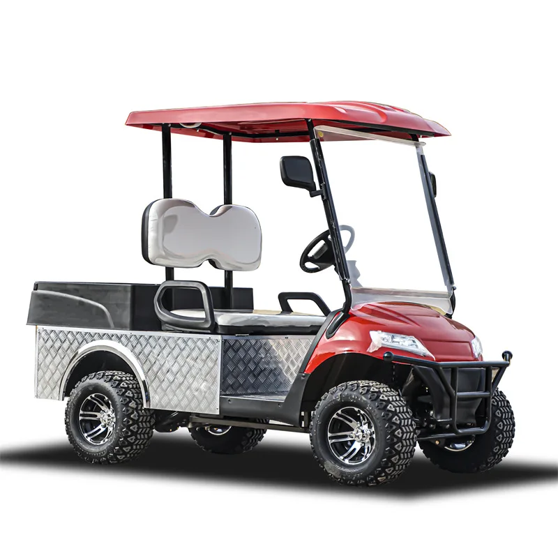 2025 Hot Sale 2-Person Parison Electric Golf Cart Utilitas Vehiculum cum 2 Sedibus and Cargo Box 2025SDZX12PTPR26701