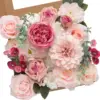 Rosa pallido