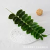 Árbol del dinero de 21 hojas - 65 cm