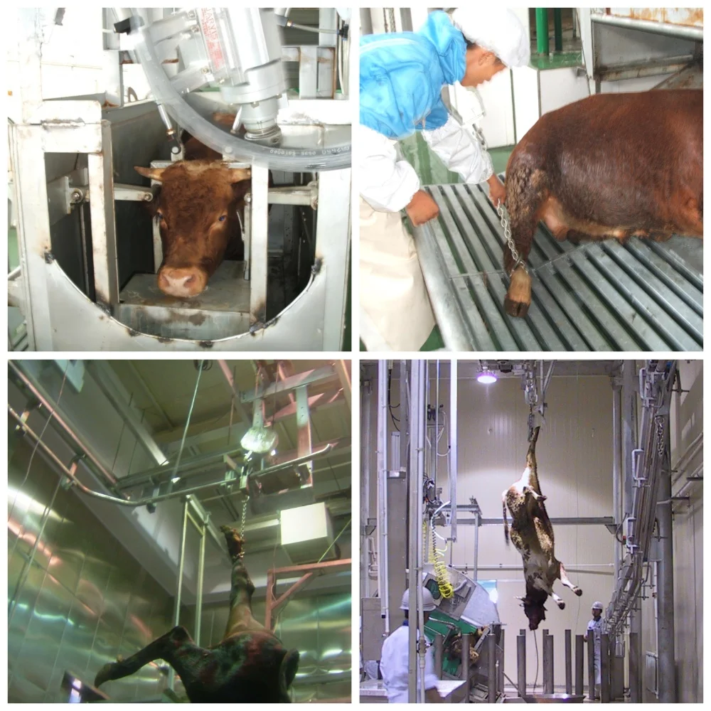 High quality cattle cutting machines for beef slaughterhouse processing systems