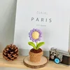 Plante en pot de marguerite violette