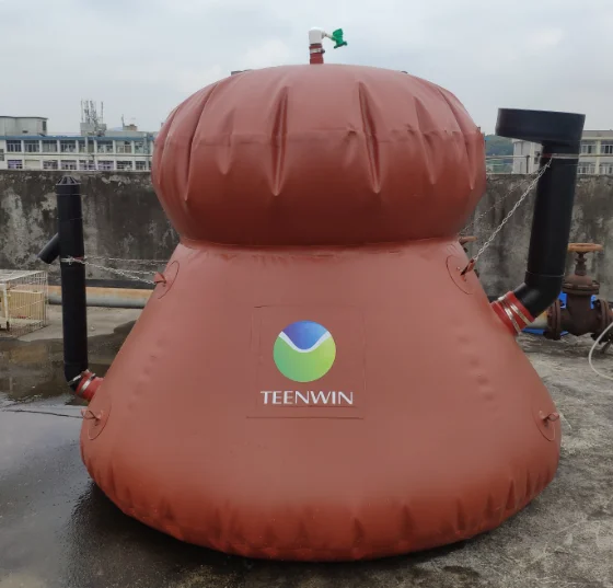 Small Size Biogas Power Plant Digester