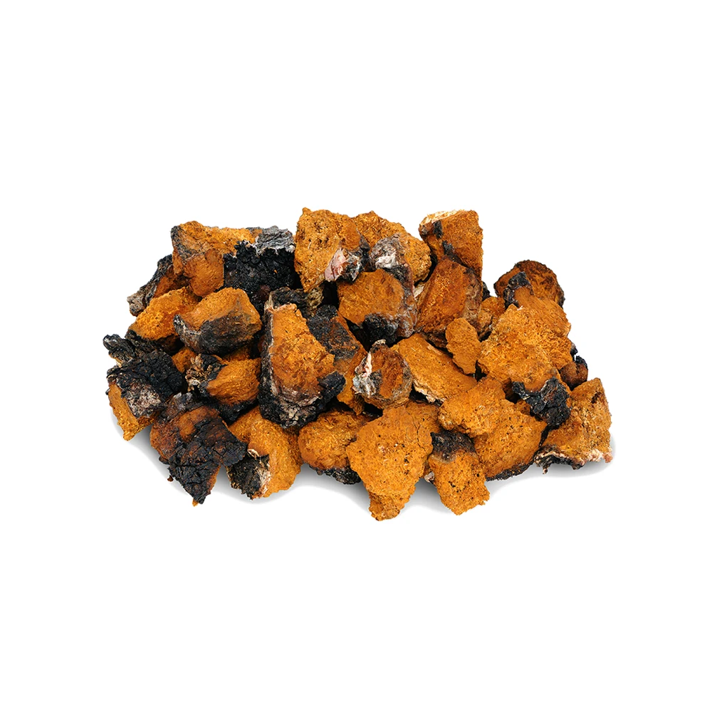 Private Label OEM Ganoderma Lucidum Reishi Mushroom Extract Instant Black Coffee 30 Days