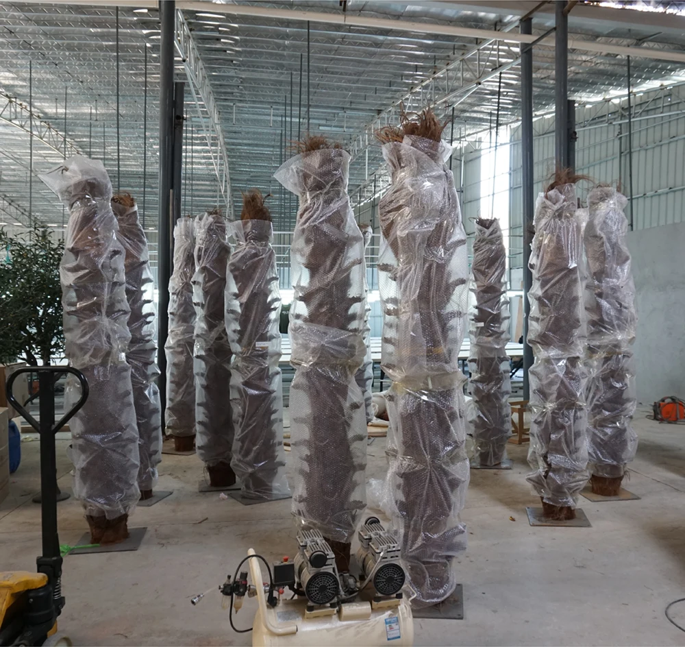 3M Hohe Groe Knstliche Palme fr Auen-/Innenbereich zum Fabrikpreis zur  Gartendekoration Qualitts-Pflanze| Alibaba.com