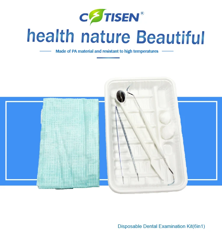 Disposable Dental Instruments Kit Plastic Disposable Tool Hygiene Examination Set Buy Dental