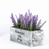 Wooden box with short lavender