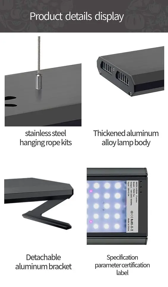 WEEK AQUA P series P600 Pro 90W ハイエンドモデル WEEK AQUA Pandora Series – Let's Discus