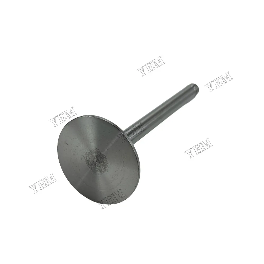 Intake Valve Fit for New Holland SNH4105 Engine 5