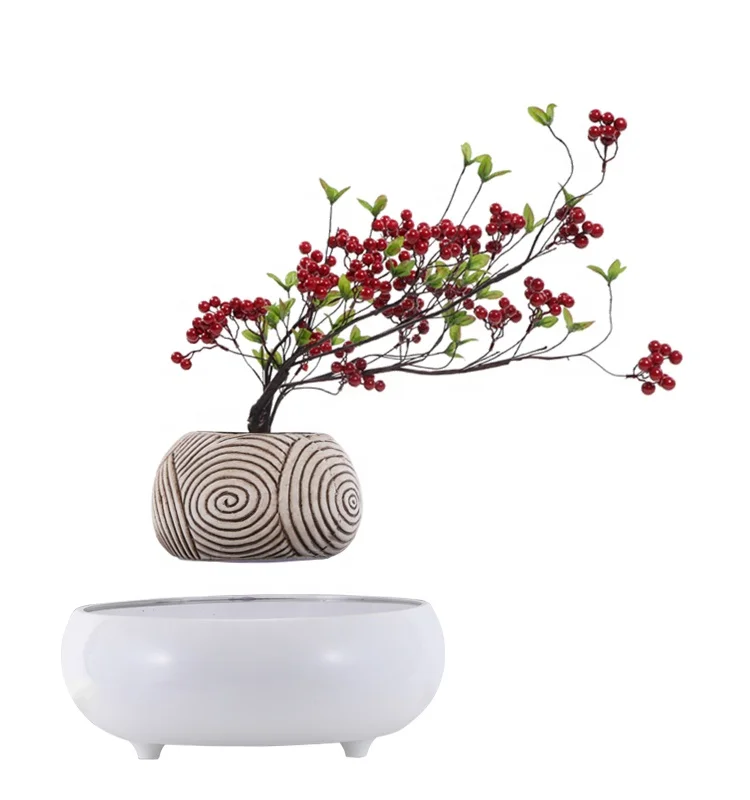streibs findling cotoneaster bonsai Cotoneaster Bonsai Tree