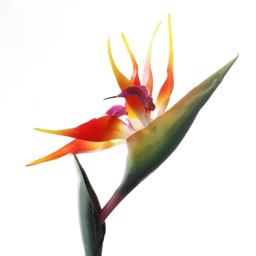 Artificial Flower Bird Of Paradise Silicone Strelitzia Reginae Home  Decoration - Buy Artificial Flower Bird Of Paradise,Real Touch Artificial  Flower,Artificial Flower Vase Product on 