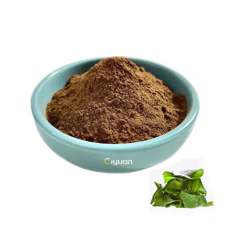 Factory Supply Kelp Extract Powder Seaweed Extract Powder Fucoidan Polysaccharide Buy 7925