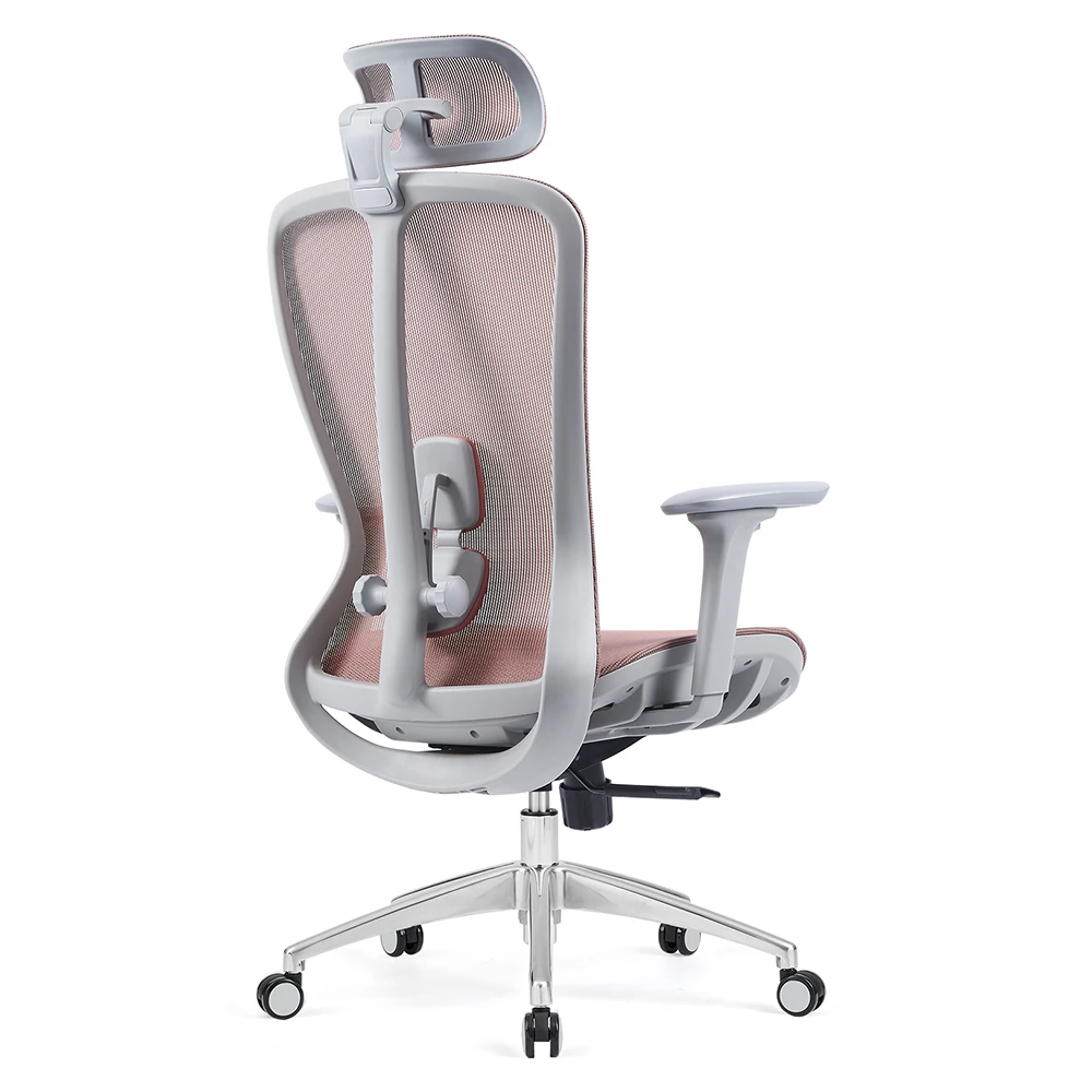 Deluxe Multi-Adjustable Ergonomic Office Chair with Dual-Control ...