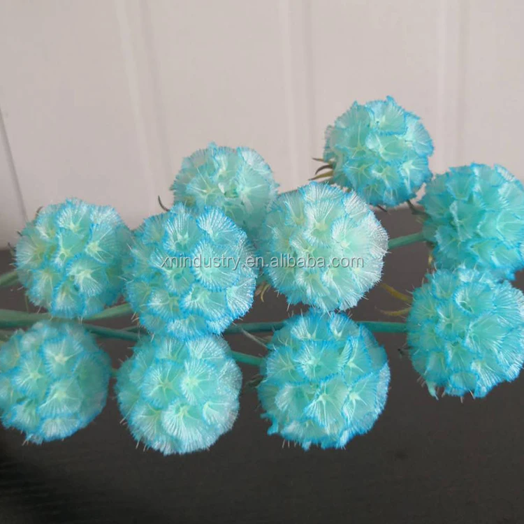 Flower Base Direct Sales Touch Candied Flowers Windmill Fruit Pristimera Cambodia Flowers