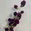 Púrpura