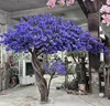 árbol morado