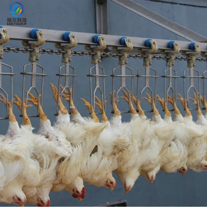 Automatic Poultry Slaughter Line Chicken Slaughtering Machine for Frozen Chicken Slaughterhouse