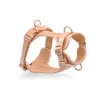 Pink harness