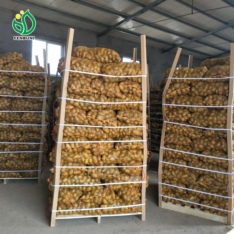 New Crop Fresh Organic Vegetables Wholesale Potato Price Of Potato In Bulk For Export In China