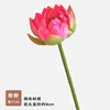 Ninfea a mille strati a stelo singolo rosa rosa