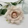 สีเทาแชมเปญ