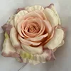 สีถั่วบด