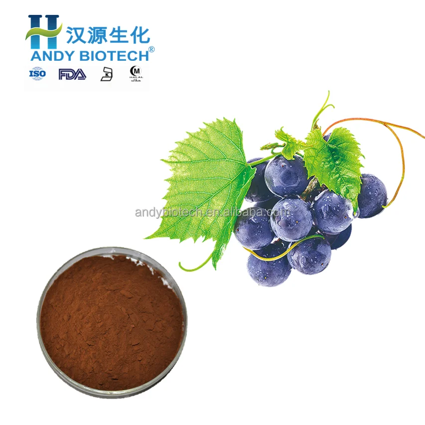 Grape Seed Extract 2