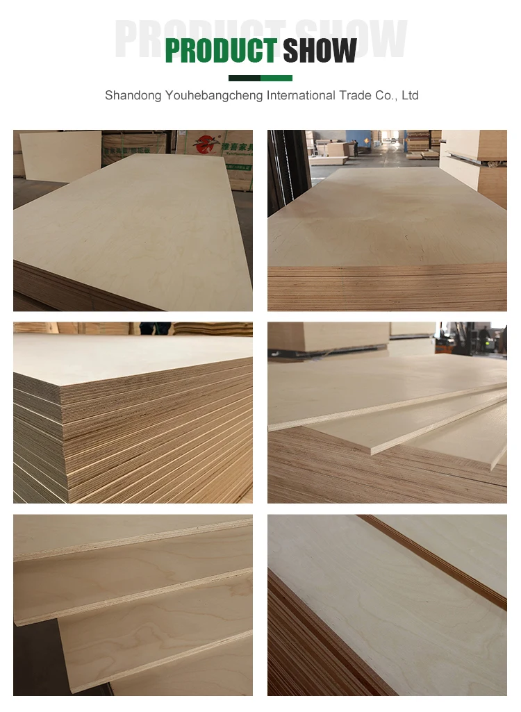 Wholesale 3mm 15mm 18mm 4x8 Uv Coated Russian Baltic Birch Plywood ...