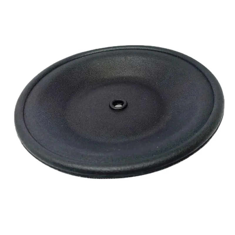 CF02-1010-53 Diaphragm