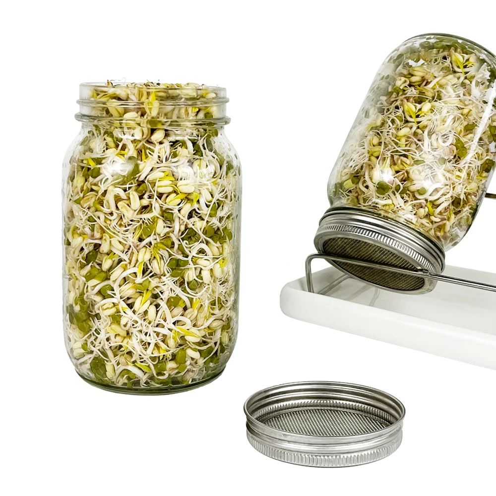 Seed Sprouting Jar Kit 3 Mason Jars Sprout Jar Kit With Screen Lids