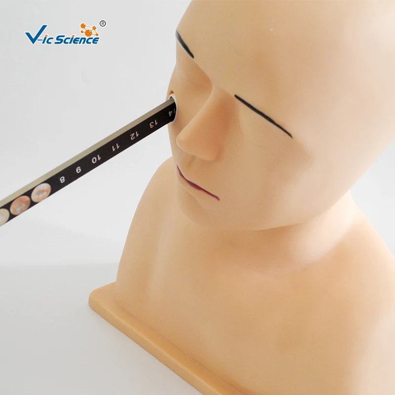 Advanced Ear Diagnostic Clinic  Training Ear Diagnostic Simulator for Medical Teaching