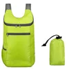 coloré 622 vert