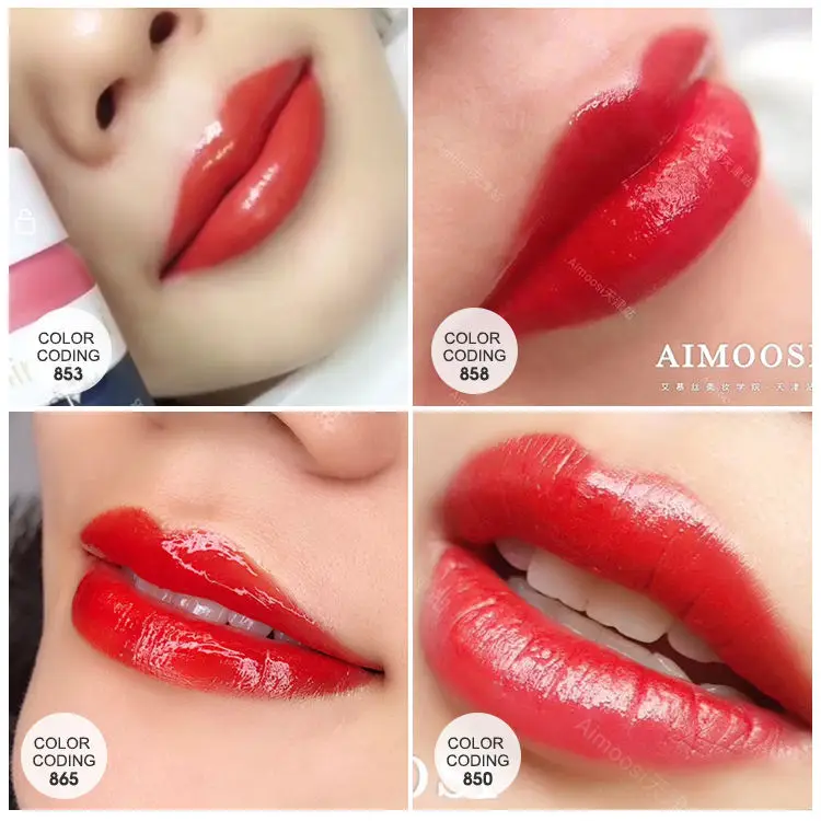 Частная марка Перманентный макияж Lnk микроблейдинг татуировка пигмент для бровей подводка глаз несколько цветов