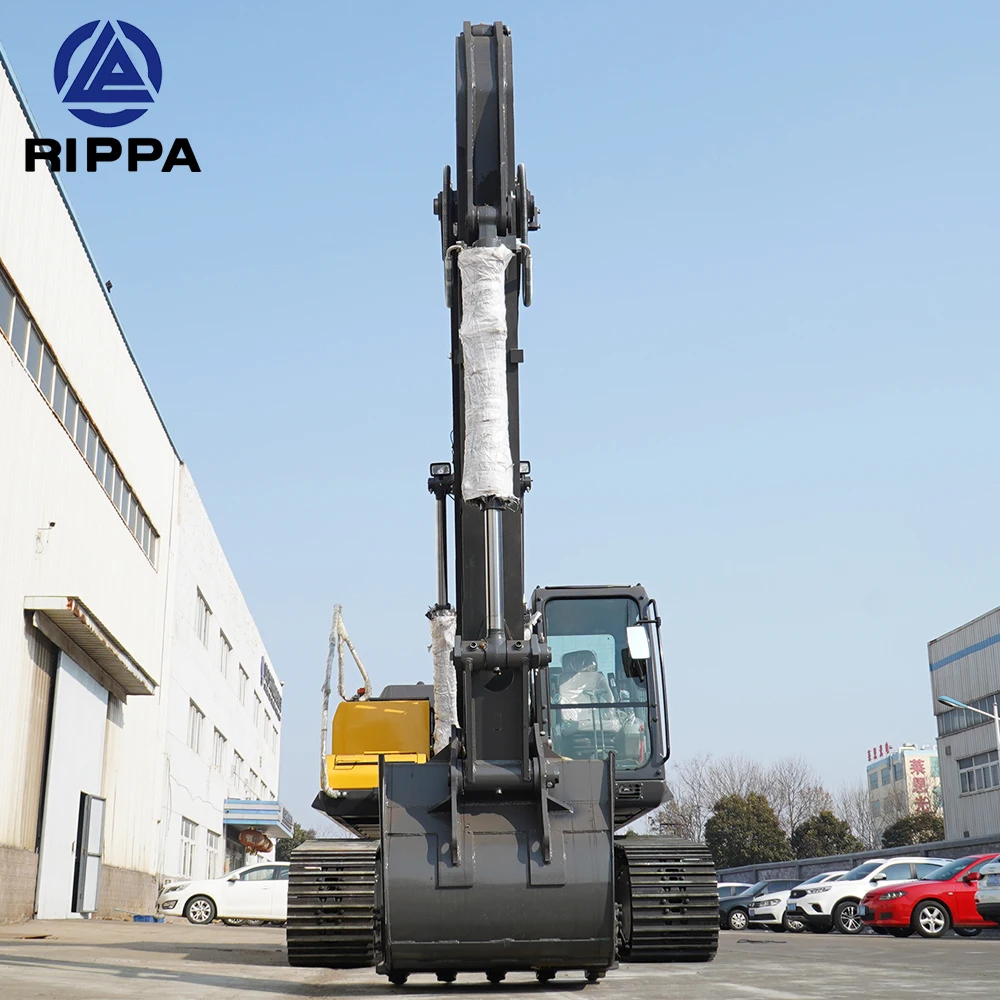 Rippa Strong Power Industrial Big Digger 20 Ton Large Excavator Machinery With Imported Premium Engine