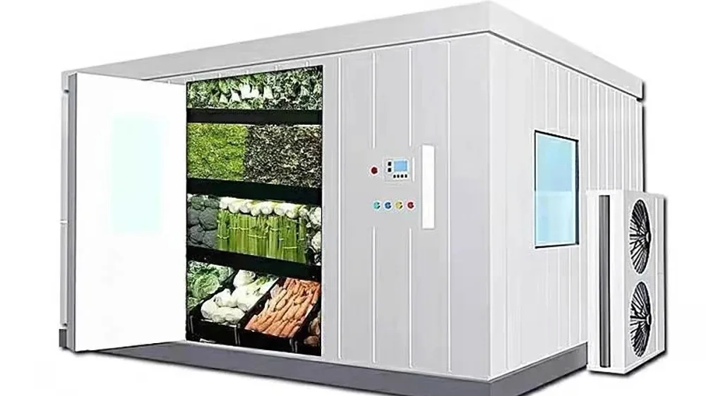 Walk In Freezer Mobile Container Chiller Freezing Cool Room Buy Solar Cold Room Freezer Cold 8393