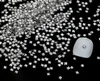 White SQ--2mm