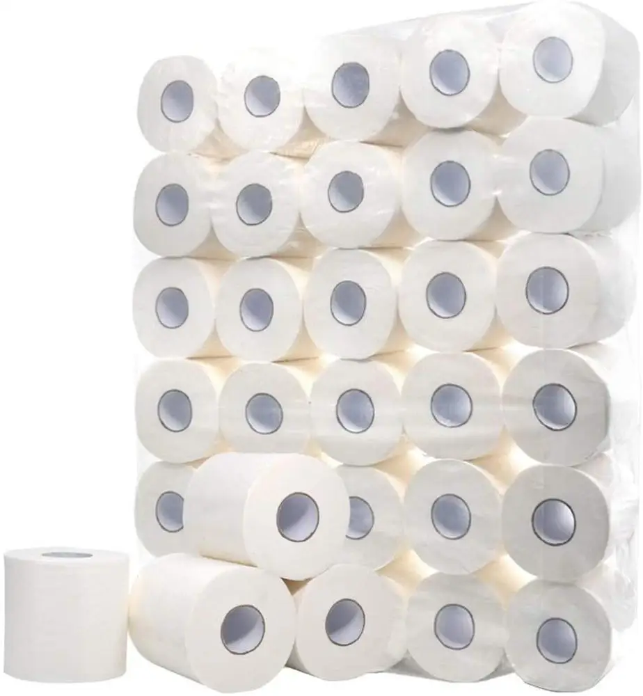 Fteied 2020Newest 10 Rolls Silky & Smooth Soft Professional Series Premium 4-Ply Toilet Paper ltra Soft Touch Toilet Paper,Strong and Highly Absorbent Hand Towels Business Tissue 