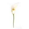 Chartreuse blanco