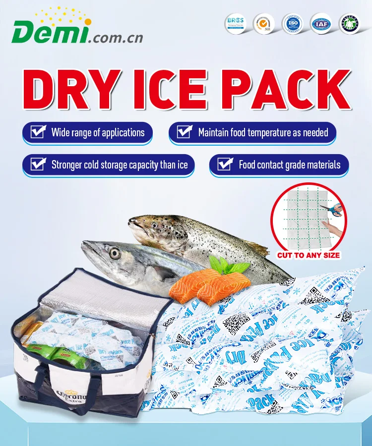 Wholesale Food Grade Dry Ice Packs Water Injection Cooling Gel Ice Pack