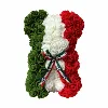 Mexico Bear