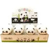 Caja Panda de 12 piezas, vitrina gratis