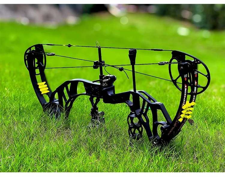 Topoint Archery Acuity 28 Compound Bow And Arrow Package Hunting Bow ...