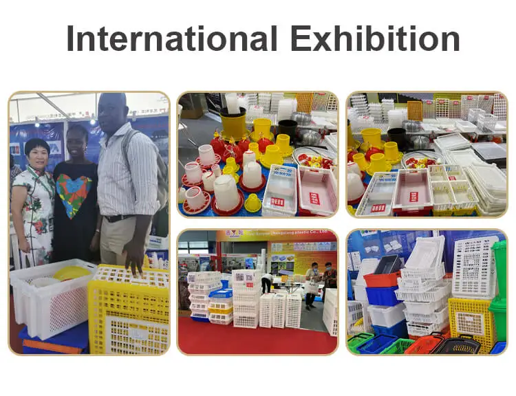poultry exhibition