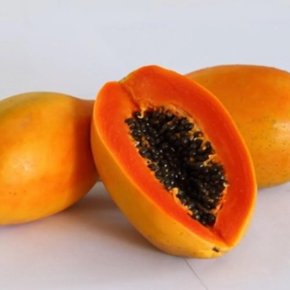 fresh red papaya fruit supplier from vietnam sweet style color