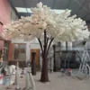 Fiore di ciliegio S8